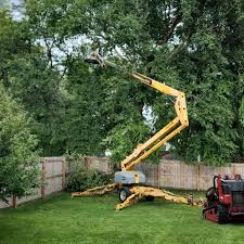 Best Hazardous Tree Removal  in Princeton, FL